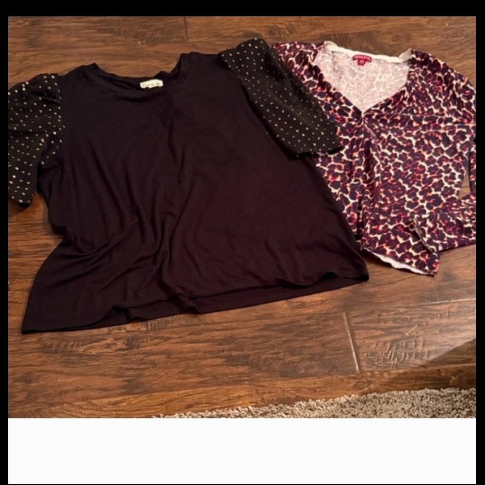 3/$15🌀2PC Polka Dot Sleeved Top& Leopard Sweater Lot Sz 2X